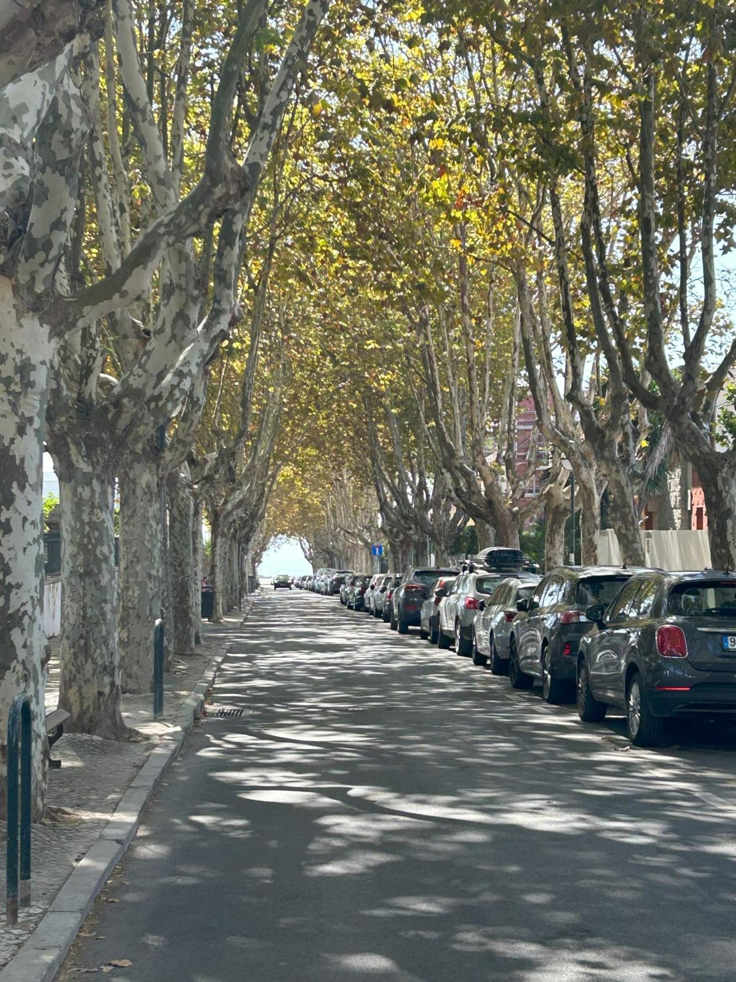 Mar Verde - Parede-Cascais Exterior photo